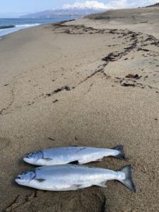 お客様釣行 北海道の洞爺湖とサーフでトラウトフィッシング カスタムロッド ロッドビルディングパーツメーカー Hitotoki Works ヒトトキワークス