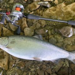 【お客様釣行】北海道の洞爺湖とサーフでトラウトフィッシング