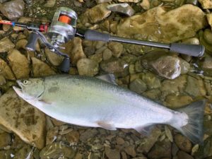 お客様釣行 北海道の洞爺湖とサーフでトラウトフィッシング カスタムロッド ロッドビルディングパーツメーカー Hitotoki Works ヒトトキワークス