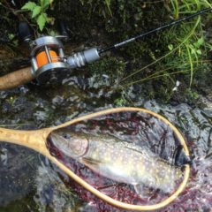 ＲＵＮＴＭＡＮでの釣行写真と沖縄の渓流ルアー釣り
