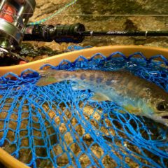 お客様より渓流用ショートロッドRUNTMANのインプレを頂きました