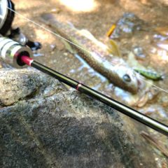 4’7”レングスの2ピース渓流ロッド開発中！！