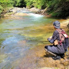 【手軽に始められる渓流ルアー】タックルや始め方