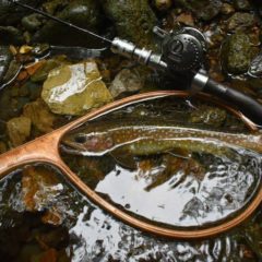 【トラウトロッド】ラントマンの釣果写真をいただきました！