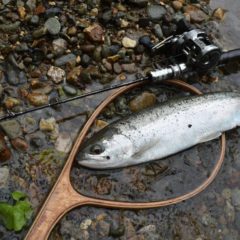 【北海道渓流】RUNTMANでスチールヘッドの釣果報告