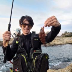 福井でロックショアゲーム