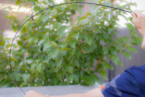 トラウトロッドのベントカーブ