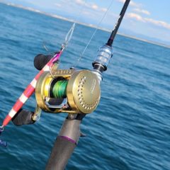 グリップジョイントシステムの限界に挑む