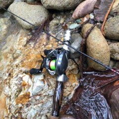 渓流ルアー用RUNTMANブランクスで世界に一つだけのマイロッド