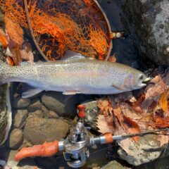 お客様より自作グリップでの釣果写真いただきました