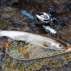 北海道の神キャストYouTube【North Island TV】