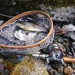 アンバサダー2601Cと自作グリップ