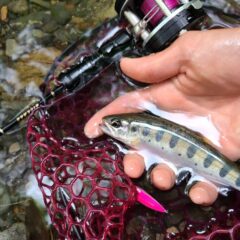 パックロッドを忍ばせ念願の源流釣行