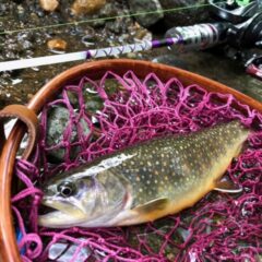 【お客様投稿】ブラックウッドグリップでイワナ釣行