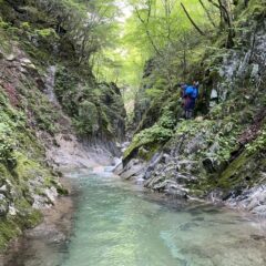 初めての平谷漁協管轄の源流を調査