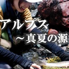 【南アルプス】真夏の源流釣行