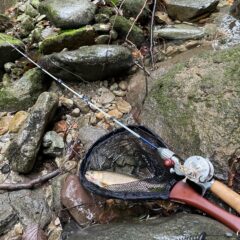 渓流専用グラスロッドの製作