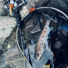 鱒レンジャーCT40のフェルール化