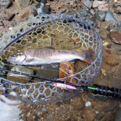 スレッドカラーカスタムのRUNTMAN