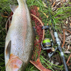 RUNTMANでビッグレインボー！！